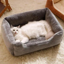 Camas e Acessórios Essenciais para Gatos