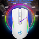 Mouse Gamer 2.4G sem Fio - RGB, Ergonômico, 7 Botões Programáveis, 4800DPI
